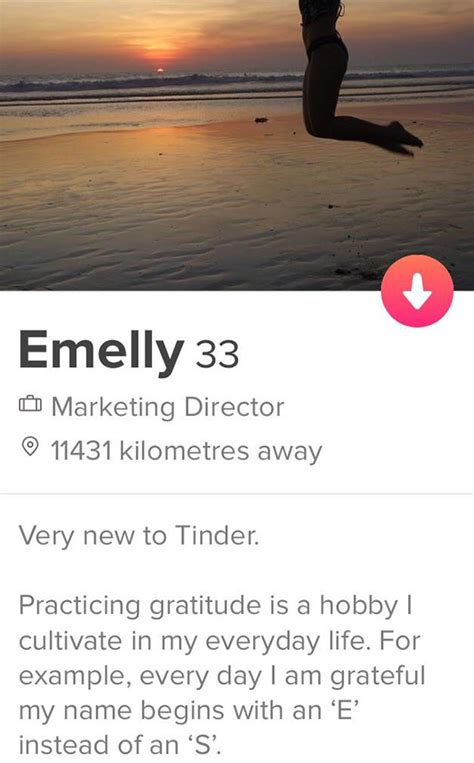 originele tinder bio|40 Good Tinder Bio Ideas (That Will Work For Any。